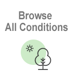Browse all conditions